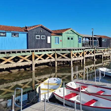 Casa vacanze 3 Bedroom Stunning In *